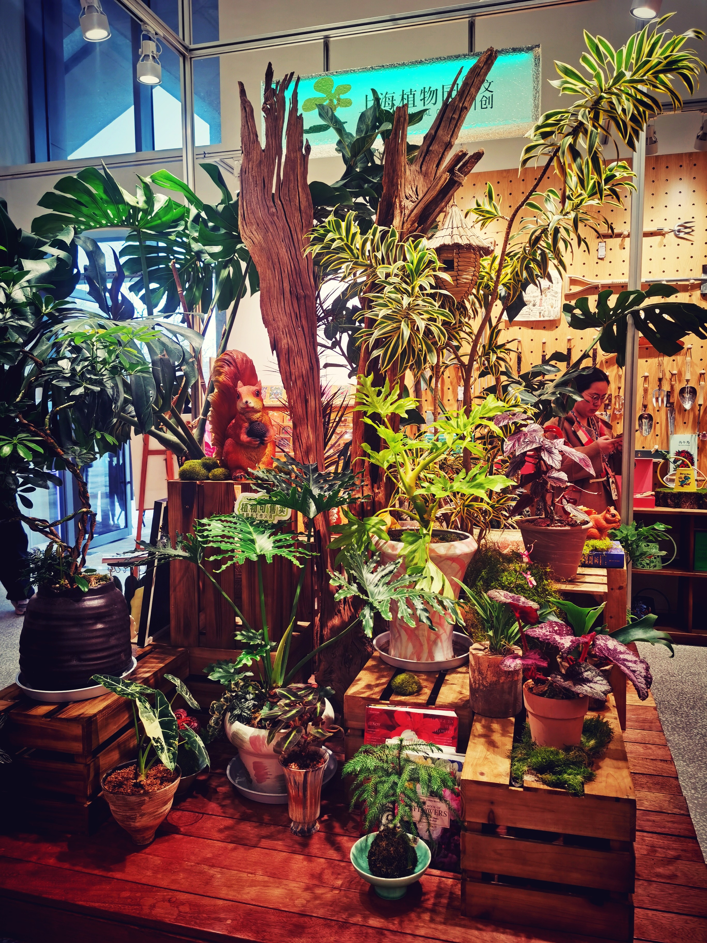 1141576875.jpg
