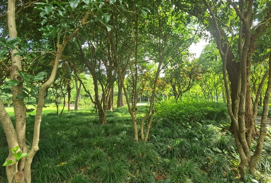 465013700.jpg