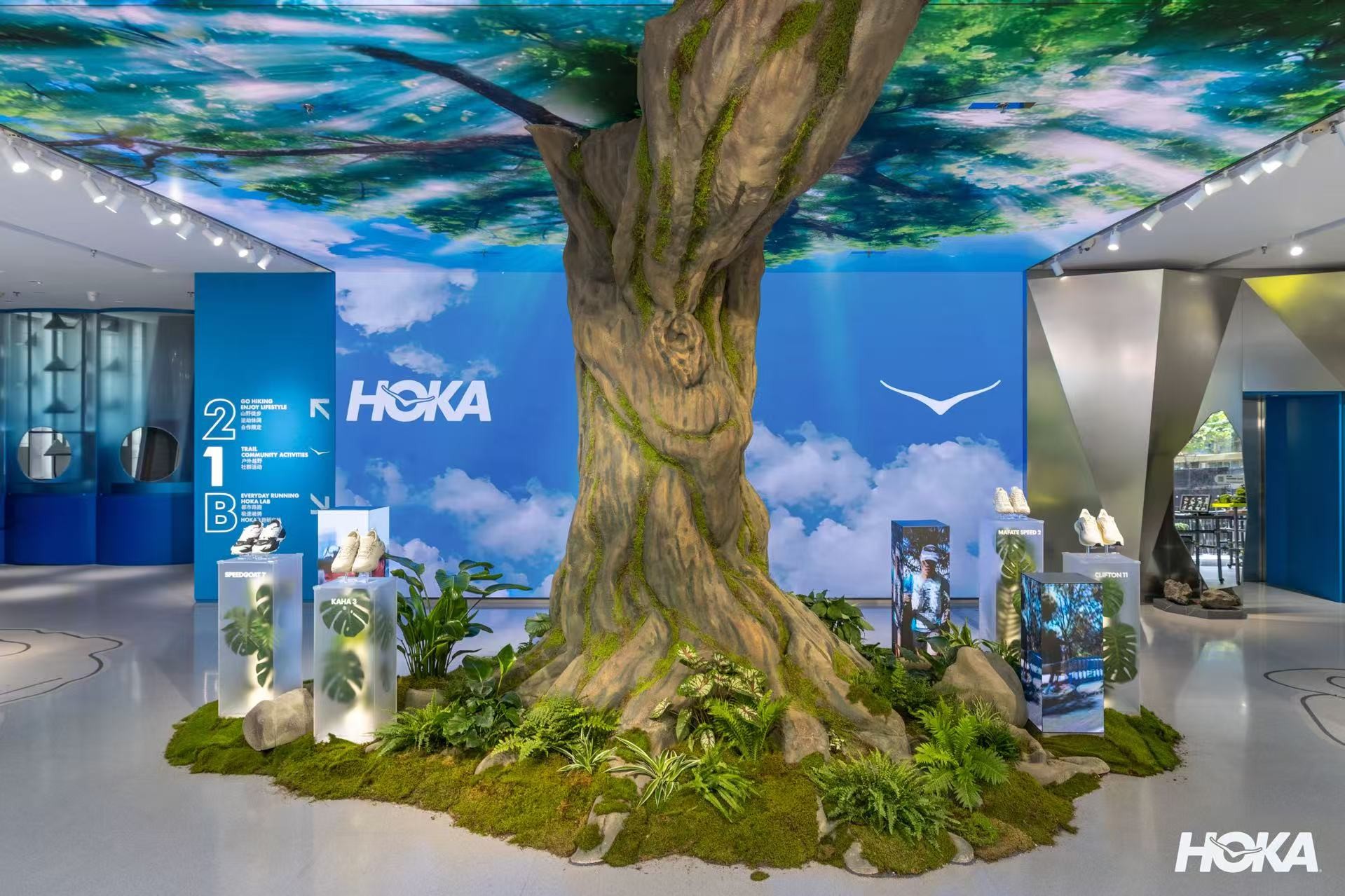 hoka.jpg